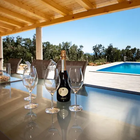 Cyprian By Guide Kampor