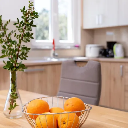 Cyprian By Guide Kampor