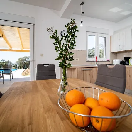 Cyprian By Guide Kampor